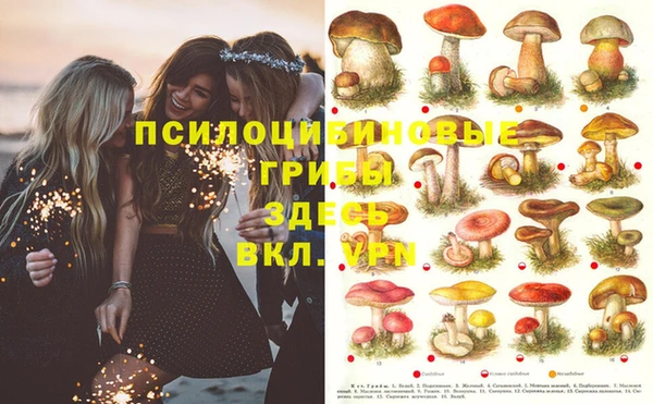 прущая мука Горнозаводск