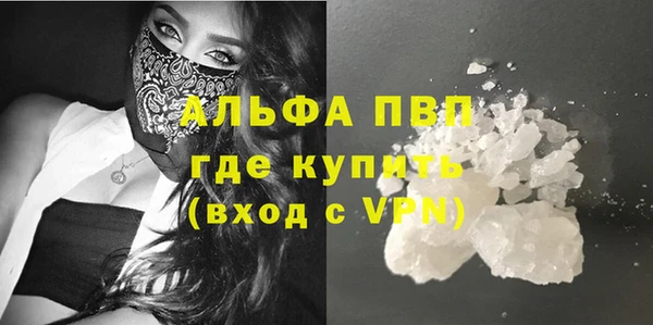 СК Гусев