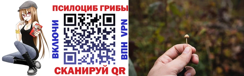 Галлюциногенные грибы Magic Shrooms  Купить закладки  Кувандык 