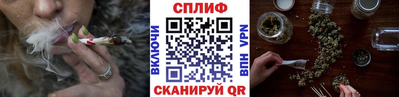 Бошки Шишки THC 21%  Купить закладки  Кувандык 